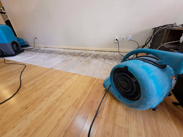 Professional Water Damage Repair technician working in Star, NC